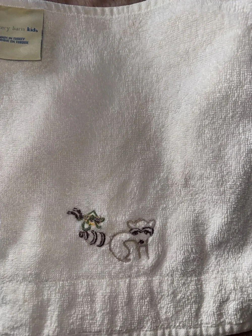 Pottery Barn Kids Raccoon and Grasshopper Washcloth!